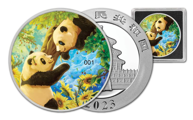 2023 China 10 Yuan 30-gm Silver Four Seasons Summer Panda Colorized BU ...