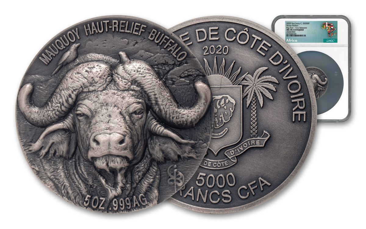2020 Ivory Coast 5000 Francs 5-oz Silver Water Buffalo Ultra High Relief  Antiqued NGC MS70 FR | GovMint.com