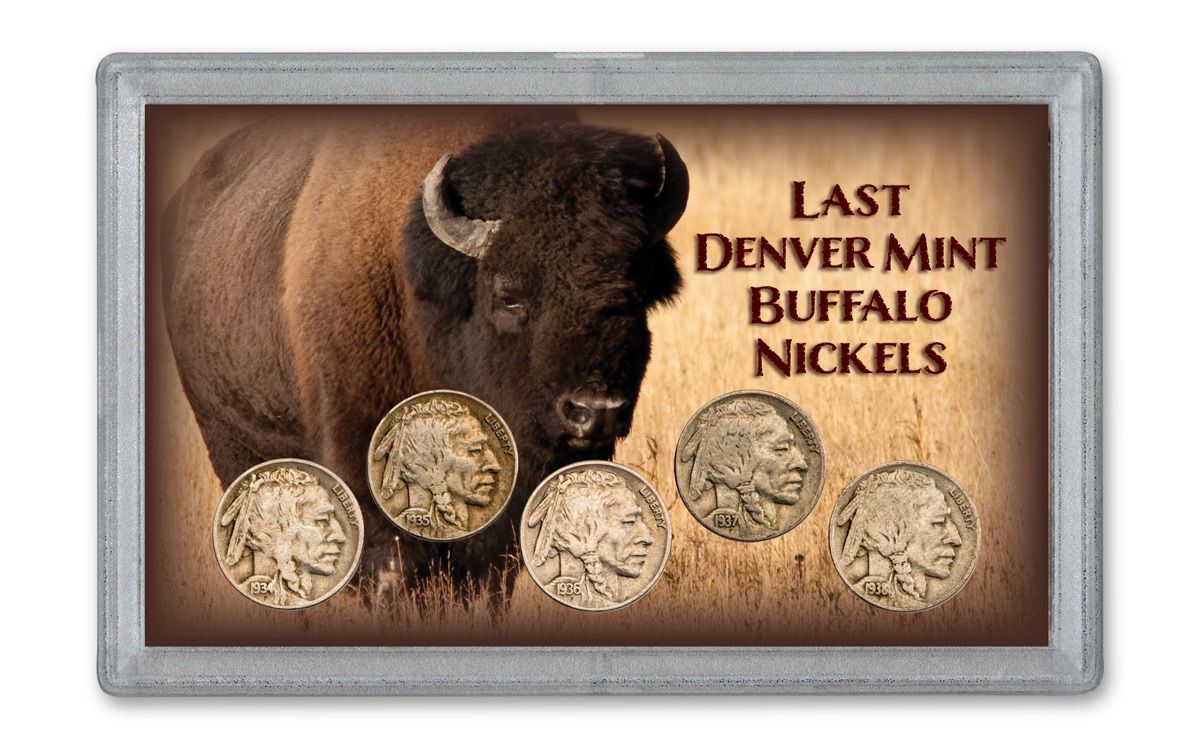 1934–1938-D Buffalo Nickels 5-pc Set F–VF | GovMint.com